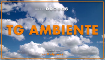 tg-ambiente-–-19/11/2023