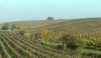 colline-e-oltre-progetta-la-promozione-dell’oltrepo-pavese