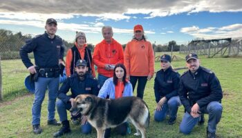 a-roma-il-commissariato-porta-maggiore-adotta-un-cane-con-difficolta-di-affido