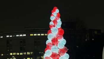 acceso-l’albero-di-natale-dell’ospedale-san-raffaele-di-milano