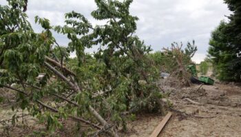 da-unicredit-sostegno-ad-aziende-agricole-sicilia-per-eventi-calamitosi