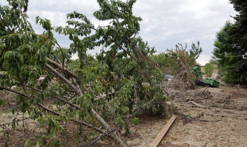 da-unicredit-sostegno-ad-aziende-agricole-sicilia-per-eventi-calamitosi