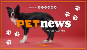 petnews-magazine-–-5/12/2023