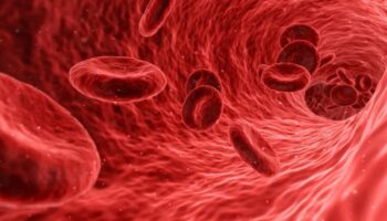 leucemia-linfoblastica-acuta,-in-italia-la-terapia-car-t-di-gilead