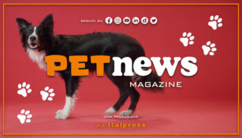 petnews-magazine-–-2/1/2024