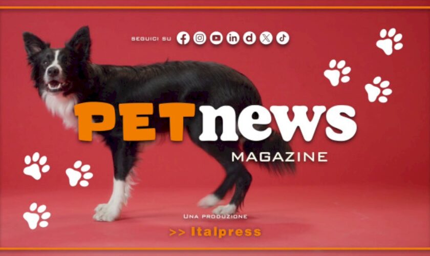 petnews-magazine-–-31/1/2024