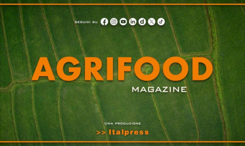 agrifood-magazine-–-14/2/2024