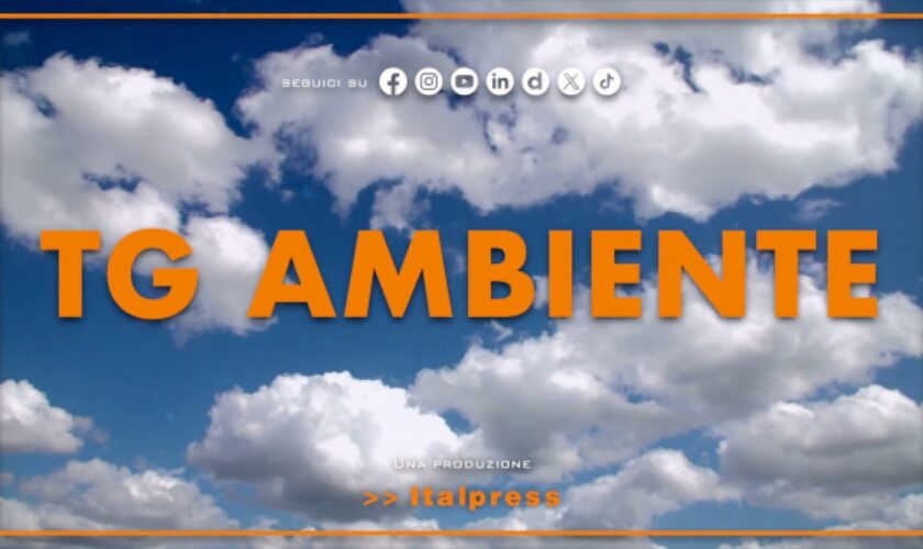 tg-ambiente-–-18/2/2024