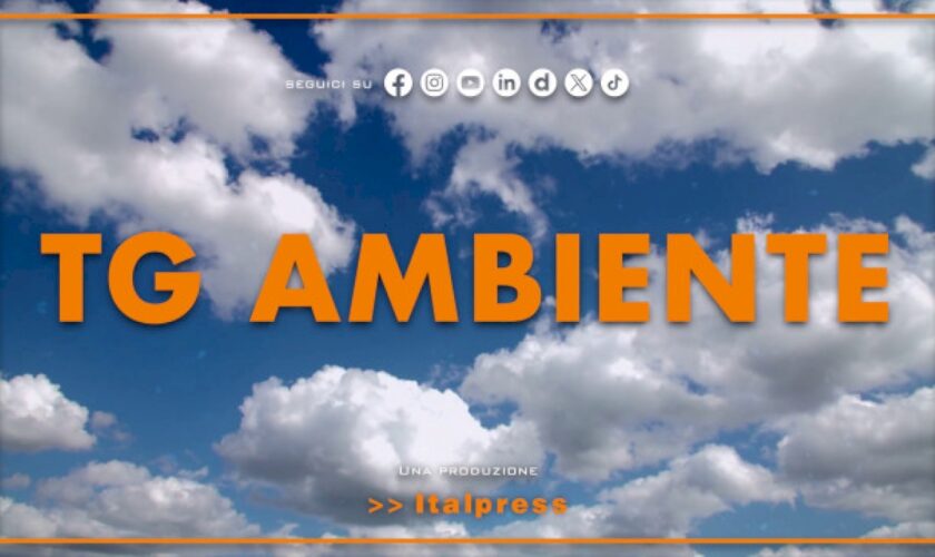 tg-ambiente-–-25/2/2024