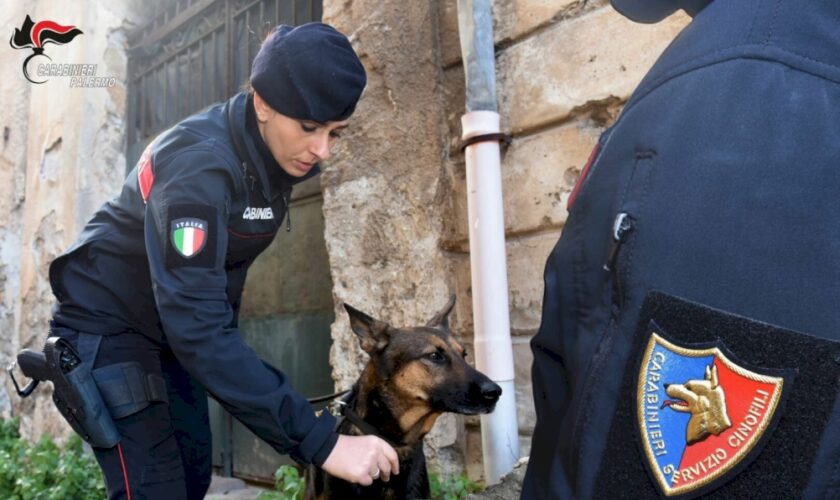 palermo,-25-chili-di-droga-sequestrati-e-6-arresti