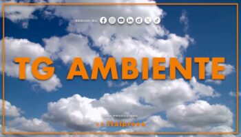 tg-ambiente-–-10/3/2024