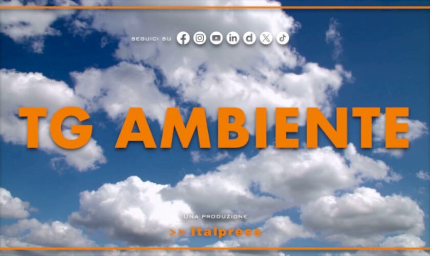 tg-ambiente-–-10/3/2024