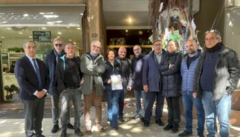 una-task-force-di-agronomi-per-curare-l’albero-falcone-a-palermo