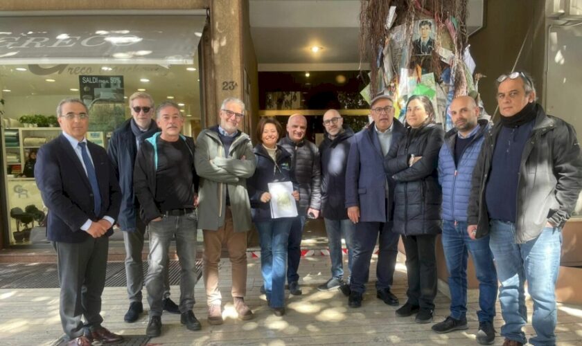 una-task-force-di-agronomi-per-curare-l’albero-falcone-a-palermo