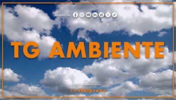 tg-ambiente-–-7/4/2024