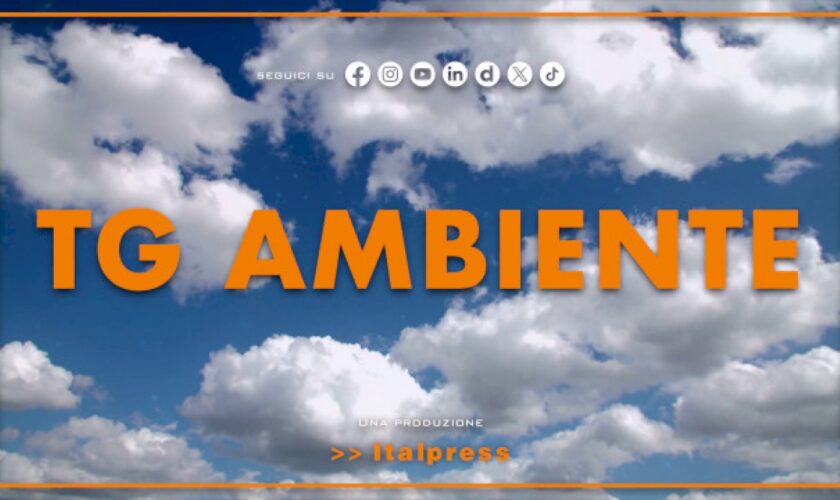 tg-ambiente-–-7/4/2024