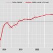 a-febbraio-vendite-al-dettaglio-+0,1%-su-mese,-+2,4%-su-anno