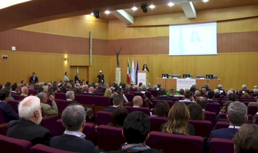 assemblea-cifa-a-roma,-competenze-e-flessibilita-per-rilanciare-le-pmi