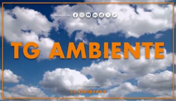 tg-ambiente-–-14/4/2024