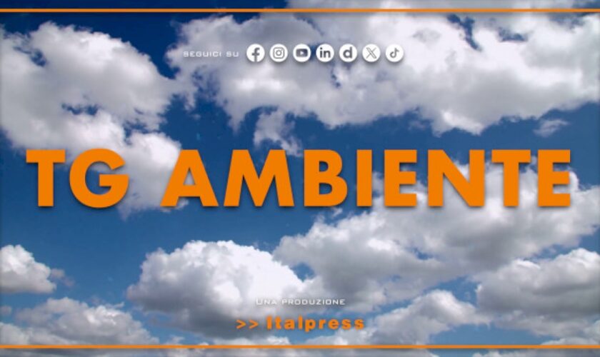 tg-ambiente-–-14/4/2024