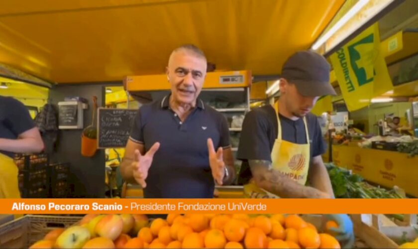 pecoraro-“giornata-del-made-in-italy-sia-anche-festa-dell’ortofrutta”