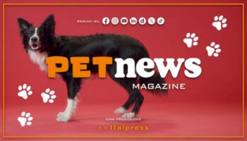 petnews-magazine-–-23/4/2024