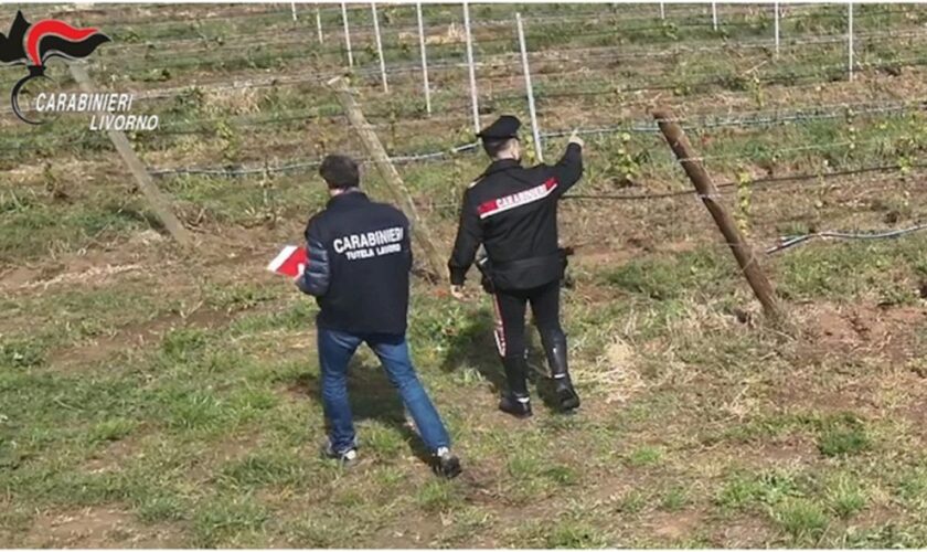 ospiti-cas-sfruttati-nei-campi,-10-arresti-per-caporalato-in-toscana