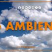 tg-ambiente-–-5/5/2024