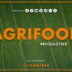 agrifood-magazine-–-8/5/2024