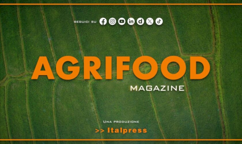 agrifood-magazine-–-8/5/2024