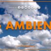 tg-ambiente-–-12/5/2024