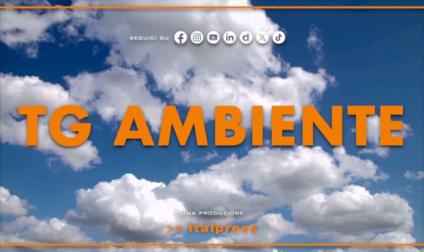 tg-ambiente-–-12/5/2024