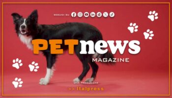 petnews-magazine-–-14/5/2024