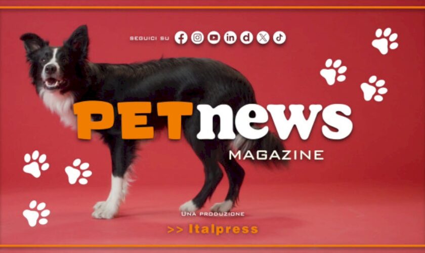 petnews-magazine-–-14/5/2024