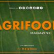 agrifood-magazine-–-15/5/2024