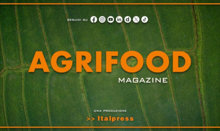 agrifood-magazine-–-15/5/2024