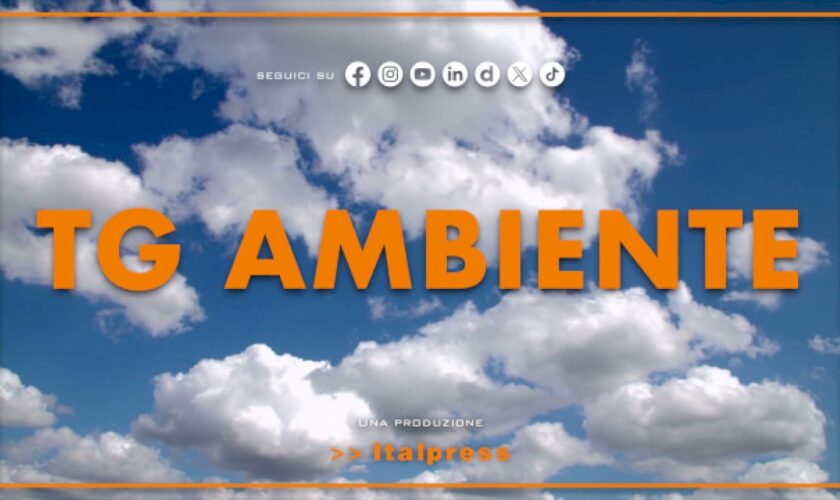 tg-ambiente-–-19/5/2024