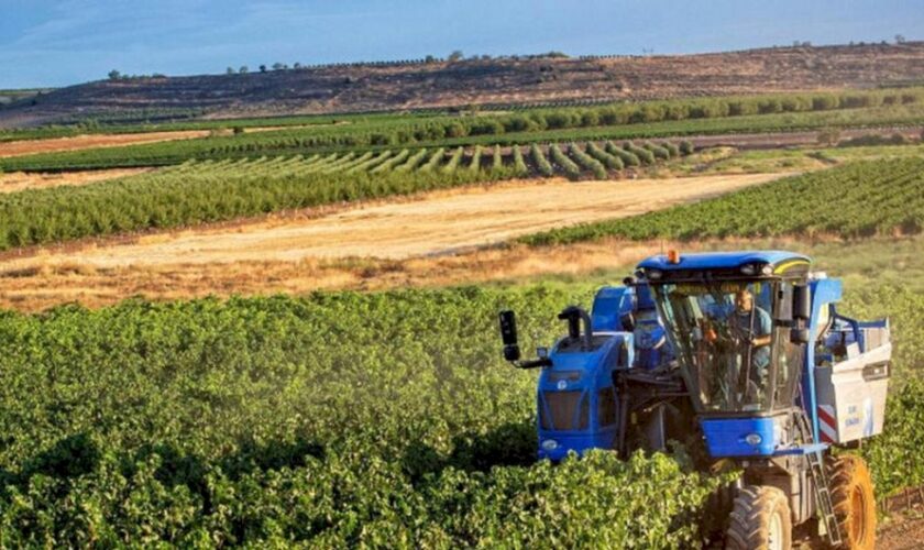 aziende-agricole-calabresi,-in-pagamento-40-milioni-per-domanda-unica