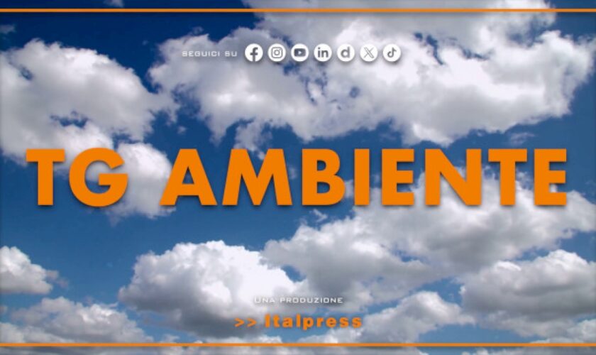 tg-ambiente-–-26/5/2024