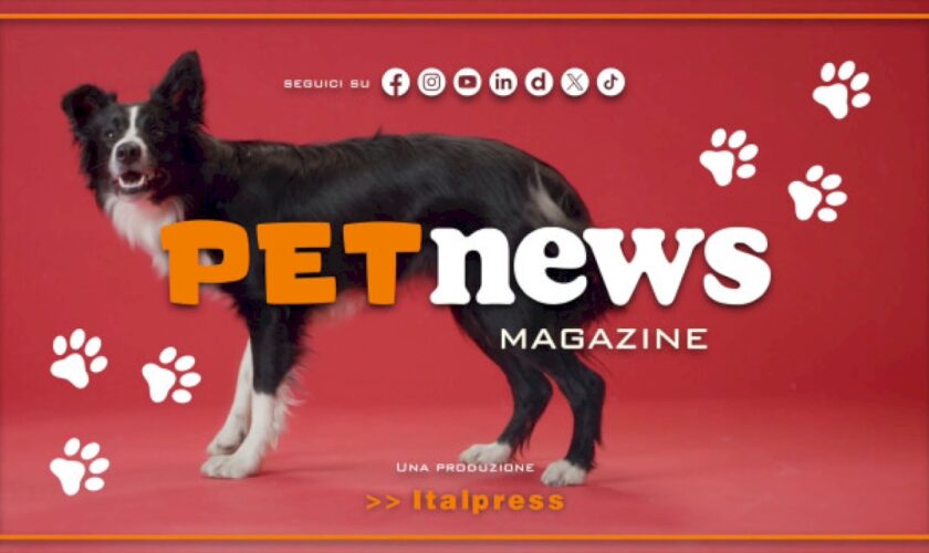 petnews-magazine-–-28/5/2024