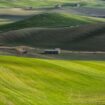 agri-hub,-al-via-fase-sperimentale-in-11-aziende-agricole-della-basilicata