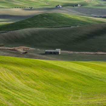 agri-hub,-al-via-fase-sperimentale-in-11-aziende-agricole-della-basilicata