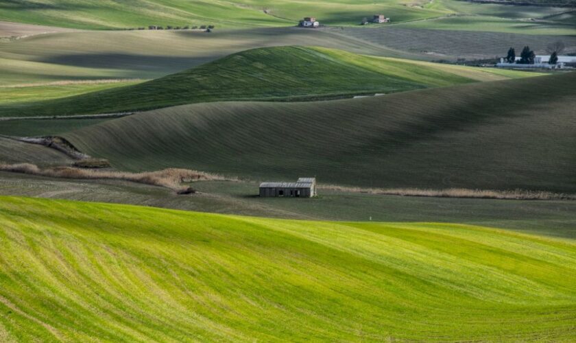 agri-hub,-al-via-fase-sperimentale-in-11-aziende-agricole-della-basilicata