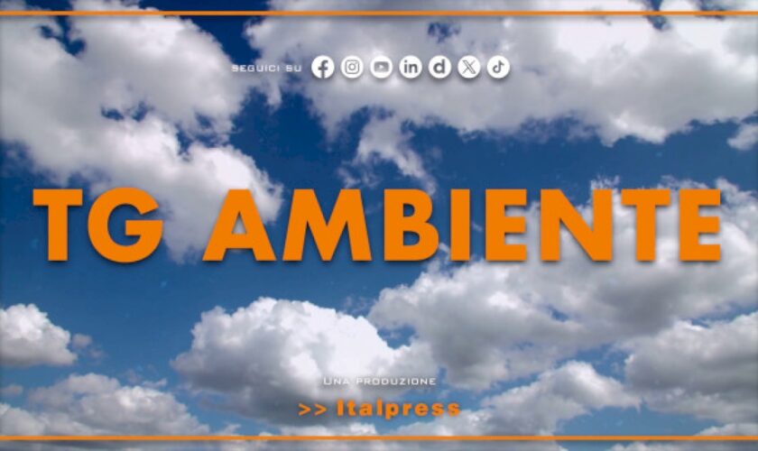 tg-ambiente-–-2/6/2024